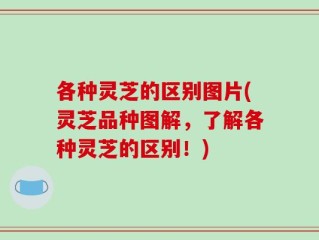 各种灵芝的区别图片(灵芝品种图解，了解各种灵芝的区别！)