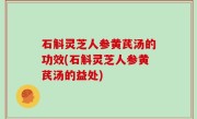 石斛灵芝人参黄芪汤的功效(石斛灵芝人参黄芪汤的益处)