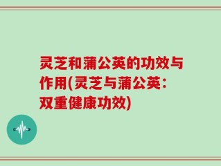 灵芝和蒲公英的功效与作用(灵芝与蒲公英：双重健康功效)