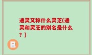 通灵又称什么灵芝(通灵和灵芝的别名是什么？)