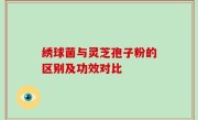 绣球菌与灵芝孢子粉的区别及功效对比