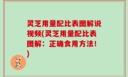 灵芝用量配比表图解说视频(灵芝用量配比表图解：正确食用方法！)