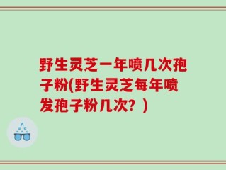 野生灵芝一年喷几次孢子粉(野生灵芝每年喷发孢子粉几次？)