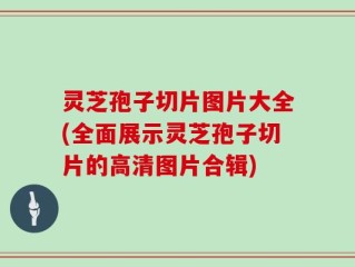 灵芝孢子切片图片大全(全面展示灵芝孢子切片的高清图片合辑)