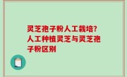 灵芝孢子粉人工栽培？人工种植灵芝与灵芝孢子粉区别
