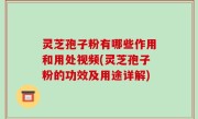 灵芝孢子粉有哪些作用和用处视频(灵芝孢子粉的功效及用途详解)