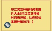 印江灵芝种植时间表图片大全(印江灵芝种植时间表详解，让你轻松掌握种植技巧！)