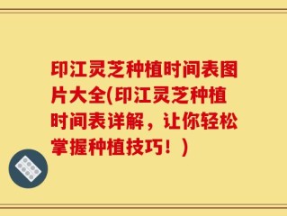 印江灵芝种植时间表图片大全(印江灵芝种植时间表详解，让你轻松掌握种植技巧！)