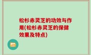 松杉赤灵芝的功效与作用(松杉赤灵芝的保健效果及特点)