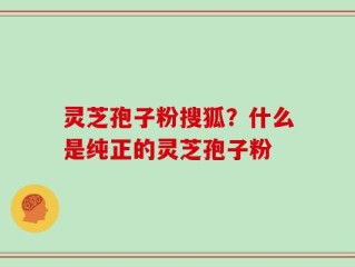 灵芝孢子粉搜狐？什么是纯正的灵芝孢子粉