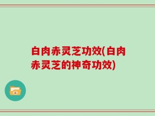 白肉赤灵芝功效(白肉赤灵芝的神奇功效)