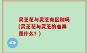 灵芝花与灵芝有区别吗(灵芝花与灵芝的差异是什么？)