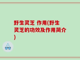 野生灵芝 作用(野生灵芝的功效及作用简介)