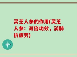 灵芝人参的作用(灵芝人参：双倍功效，润肺抗疲劳)