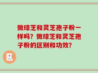 微琼芝和灵芝孢子粉一样吗？微琼芝和灵芝孢子粉的区别和功效？