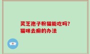 灵芝孢子粉猫能吃吗？猫咪去癣的办法