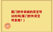 厦门野外采摘的灵芝可以吃吗(厦门野外灵芝可食用？)