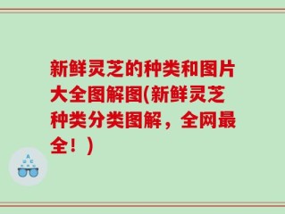 新鲜灵芝的种类和图片大全图解图(新鲜灵芝种类分类图解，全网最全！)