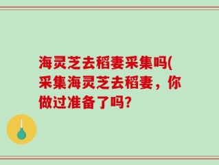 海灵芝去稻妻采集吗(采集海灵芝去稻妻，你做过准备了吗？