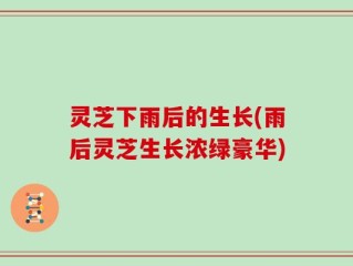 灵芝下雨后的生长(雨后灵芝生长浓绿豪华)