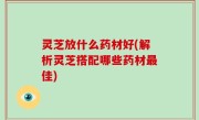 灵芝放什么药材好(解析灵芝搭配哪些药材最佳)