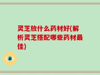 灵芝放什么药材好(解析灵芝搭配哪些药材最佳)