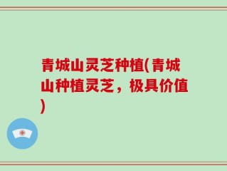 青城山灵芝种植(青城山种植灵芝，极具价值)