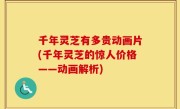 千年灵芝有多贵动画片(千年灵芝的惊人价格——动画解析)