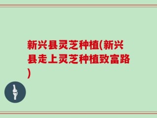 新兴县灵芝种植(新兴县走上灵芝种植致富路)