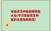 家庭灵芝种植视频教程大全(学习家庭灵芝种植的全套视频教程)