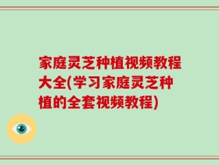 家庭灵芝种植视频教程大全(学习家庭灵芝种植的全套视频教程)