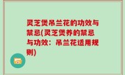 灵芝煲吊兰花的功效与禁忌(灵芝煲养的禁忌与功效：吊兰花适用规则)