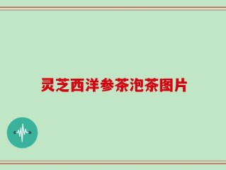 灵芝西洋参茶泡茶图片