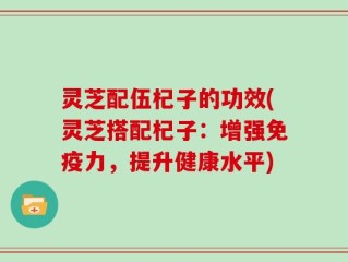 灵芝配伍杞子的功效(灵芝搭配杞子：增强免疫力，提升健康水平)