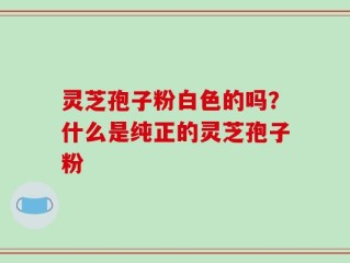 灵芝孢子粉白色的吗？什么是纯正的灵芝孢子粉