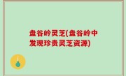 盘谷岭灵芝(盘谷岭中发现珍贵灵芝资源)