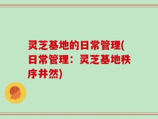 灵芝基地的日常管理(日常管理：灵芝基地秩序井然)