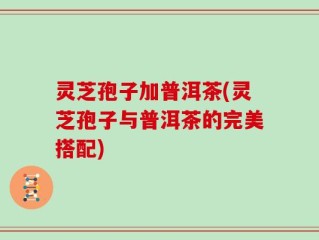 灵芝孢子加普洱茶(灵芝孢子与普洱茶的完美搭配)