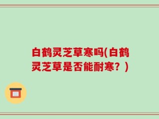 白鹤灵芝草寒吗(白鹤灵芝草是否能耐寒？)