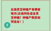 云南灵芝种植户有哪些地方(云南何处适合灵芝种植？种植户教你如何选址！)