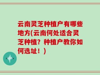 云南灵芝种植户有哪些地方(云南何处适合灵芝种植？种植户教你如何选址！)