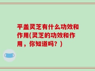 平盖灵芝有什么功效和作用(灵芝的功效和作用，你知道吗？)