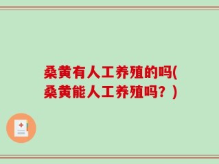 桑黄有人工养殖的吗(桑黄能人工养殖吗？)