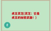 虎王灵芝(灵芝：它是虎王的秘密武器！)