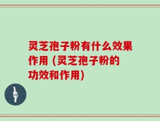 灵芝孢子粉有什么效果作用 (灵芝孢子粉的功效和作用)