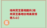 靖州灵芝基地图片(靖州灵芝基地壮观美景惊艳人心)