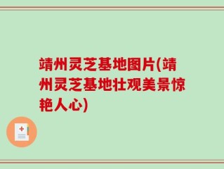 靖州灵芝基地图片(靖州灵芝基地壮观美景惊艳人心)