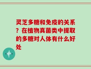 灵芝多糖和免疫的关系？在植物真菌类中提取的多糖对人体有什么好处