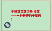 牛樟芝灵芝功效(樟芝——一种神奇的中草药)