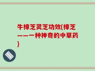 牛樟芝灵芝功效(樟芝——一种神奇的中草药)